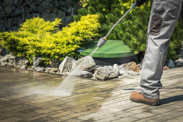 Best Animal Enclosure Cleaning  in Hallstead, PA