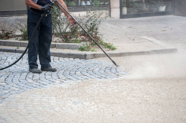 Best Pre-Holiday Cleaning  in Hallstead, PA